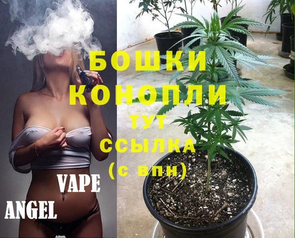 крисы Лагань