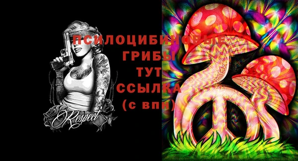 mdpv Волосово