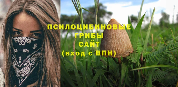 СК Володарск
