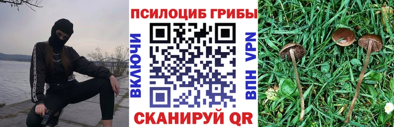 MEGA маркетплейс  Калач-на-Дону  Галлюциногенные грибы MAGIC MUSHROOMS  где купить наркоту 